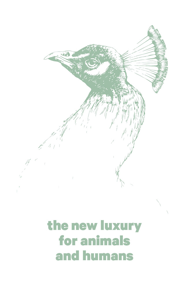 the new luxury for animals and humans